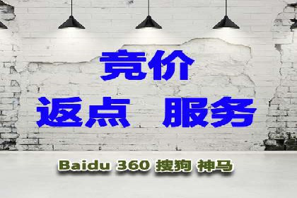 谷歌竞价广告的投放策略与成功案例分析